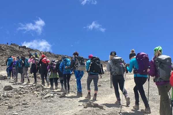 Is hiking Kilimanjaro worth it ? #Mateys wild tours