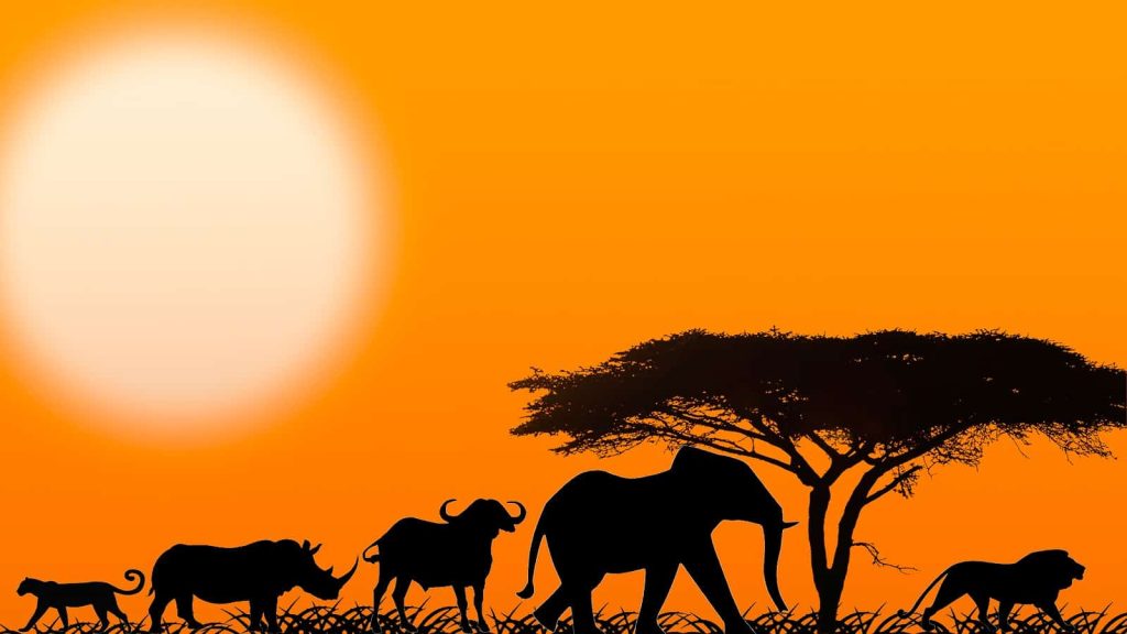 Big Five of Africa