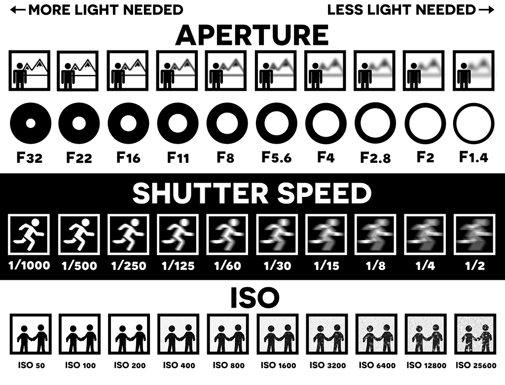 Photography-chart-Mateys Wild Tours.