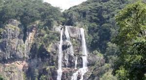 White Balance-Udzungwa Falls-Mateys Wild Tours