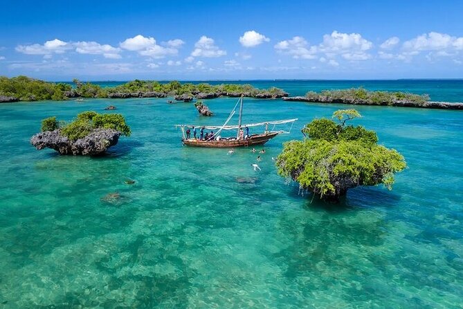 Safari blue day Trip-Things To Do in Zanzibar