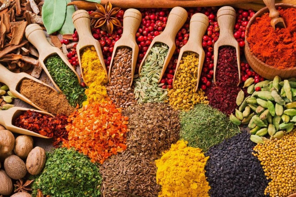 Spice Farm Things To Do in Zanzibar