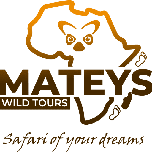 Mateys wild Tours