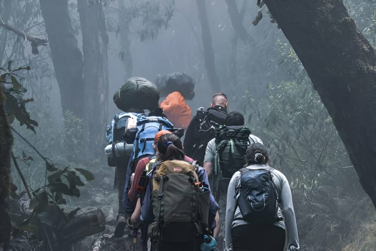 Kilimanjaro Weather in March by Mateys Wild Tours