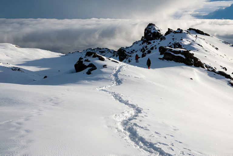 Mount Kilimanjaro in December by Mateys Wild Tours