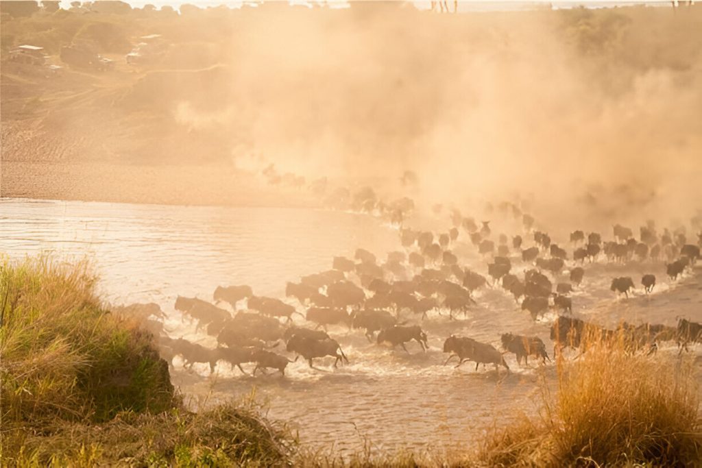 Travel With Kids and Seniors in Tanzania
