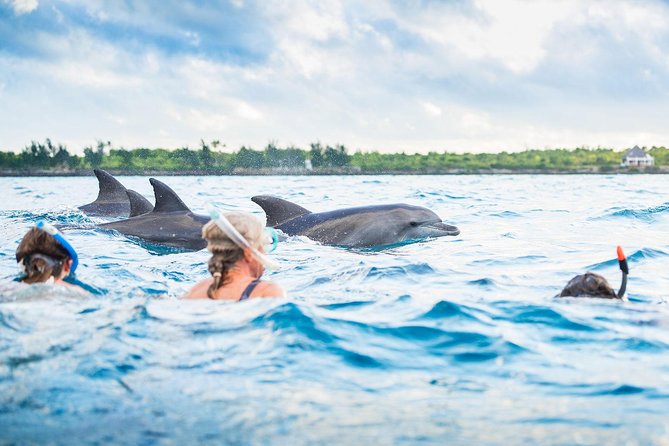 Things To Do In Zanzibar
