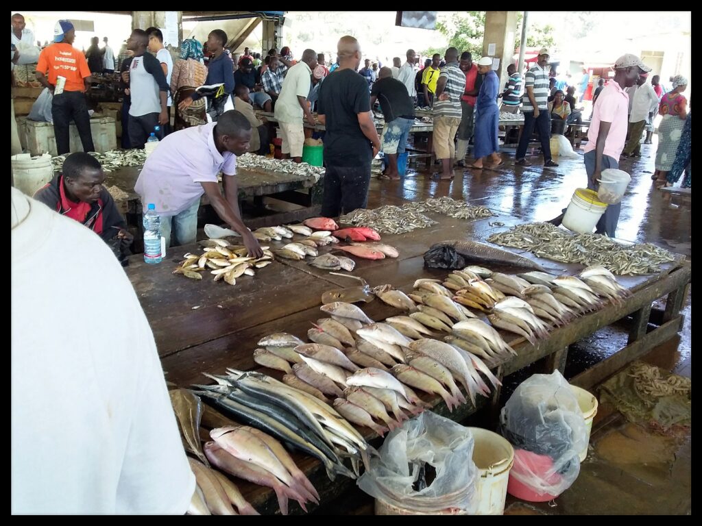 Kigoma fish Market-Mateys Tours.