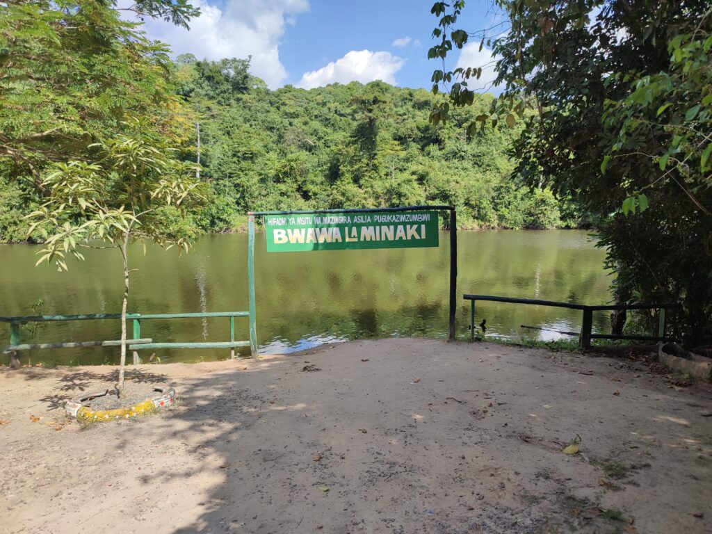 Minaki-Dam-Mateys Tours-Pugu Reserve-Tanzania