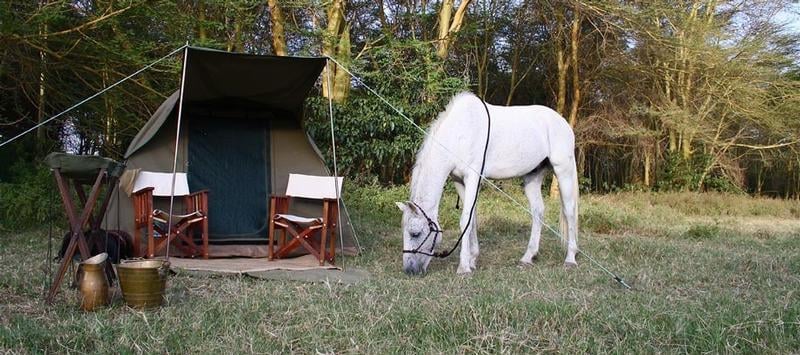 Horse Safari in Tanzania-Mateys Wild Tours