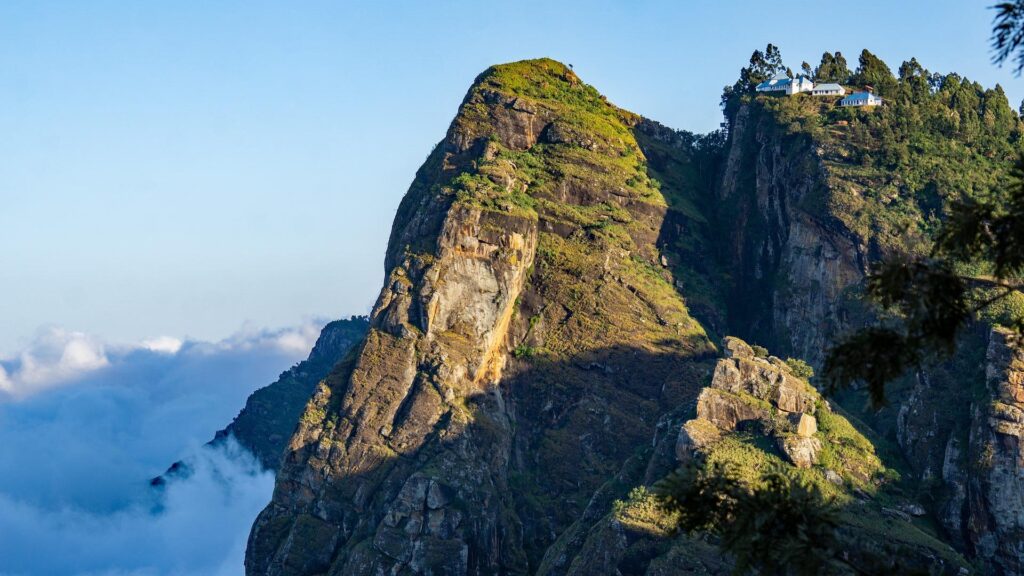 Usambara Mountains-Mateys Wild Tours