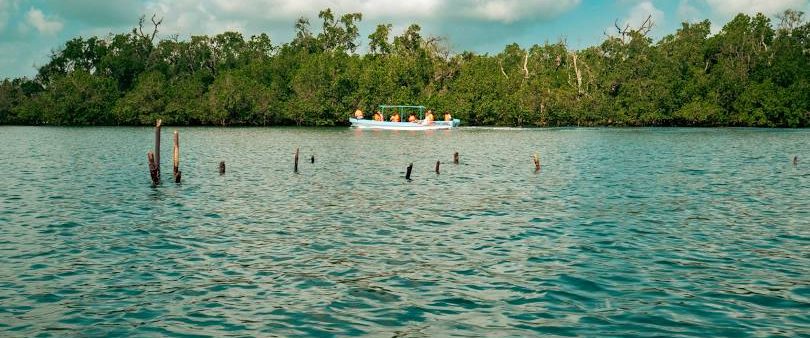 Boat-Safari-Funzi-Island-Kenya-Mateys Wild Tours