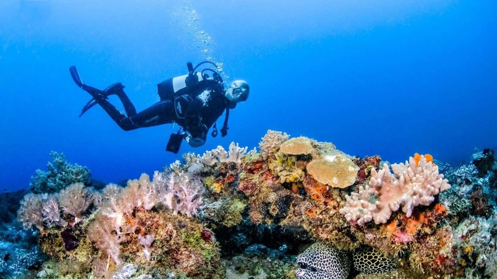 Underwater World Best Time To Visit Zanzibar