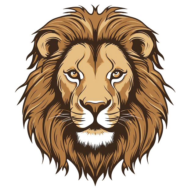 MateysWild Tours Lion