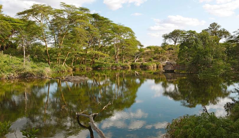 Mzima Spring-Tsavo West-Mateys Wild Tours