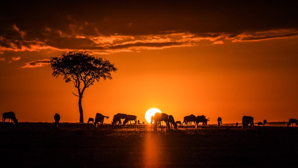 Zanzibar and Tanzania Safari Sunset