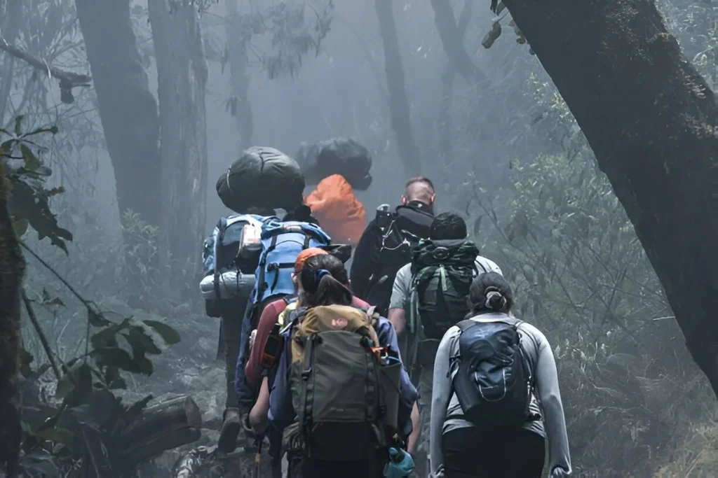 Kilimanjaro Weather in March