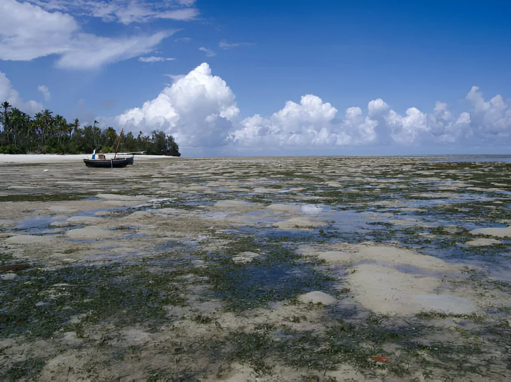 Mafia Island in April