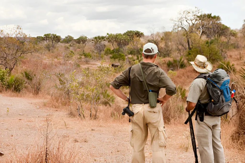 Ruaha National Park in July