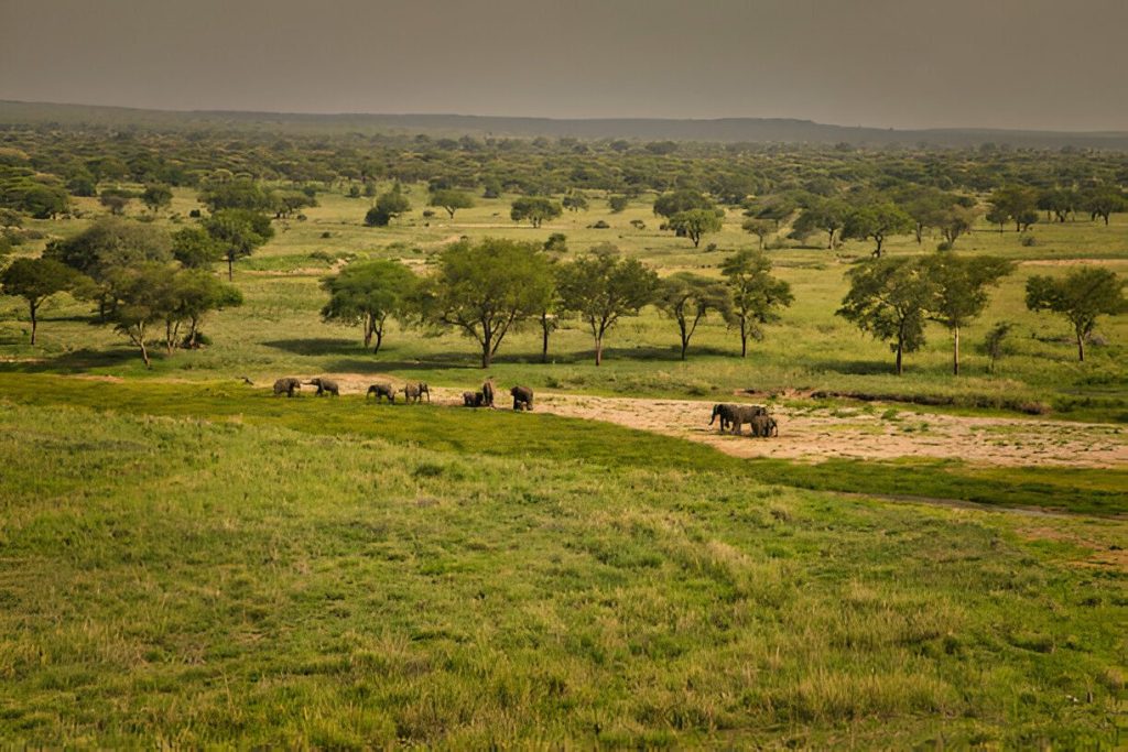 Tanzania Weather in February