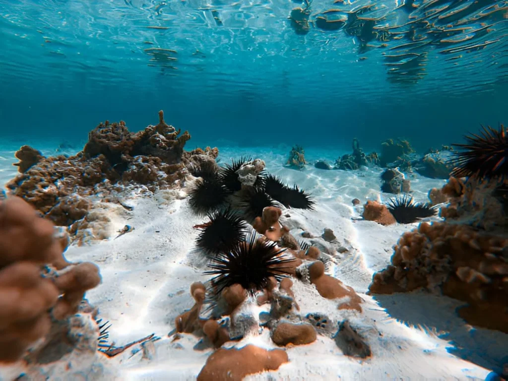 Visiting Zanzibar in September